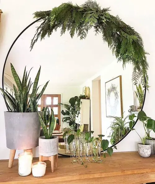 The Interior Design Secrets of Plant Stylists