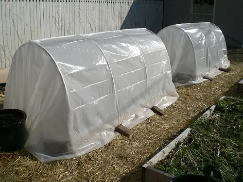 Build a Hoop House in garden for spring