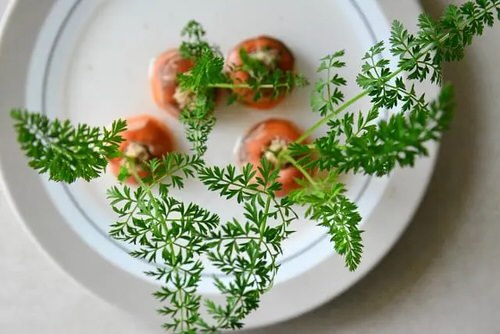 Vegetables You Can Grow From Slices 9