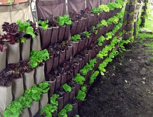 DIY Planter with Privacy Screen Ideas 06