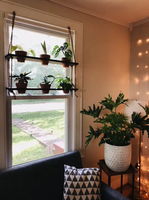 DIY Plant Shelfie 6