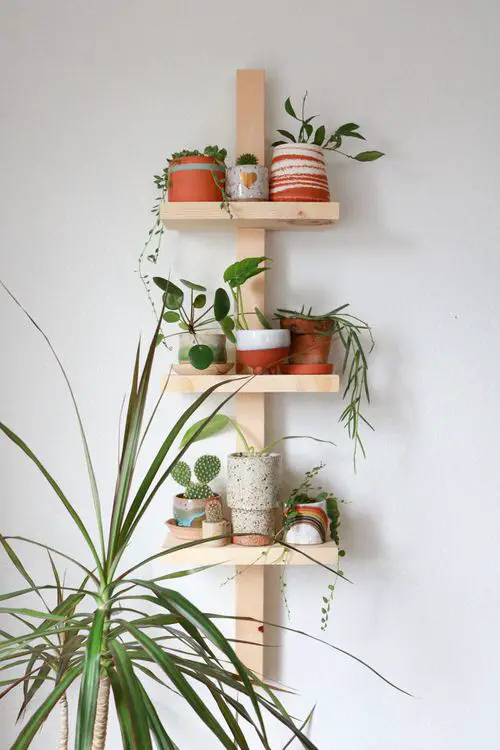 DIY Plant Shelfie Ideas 5