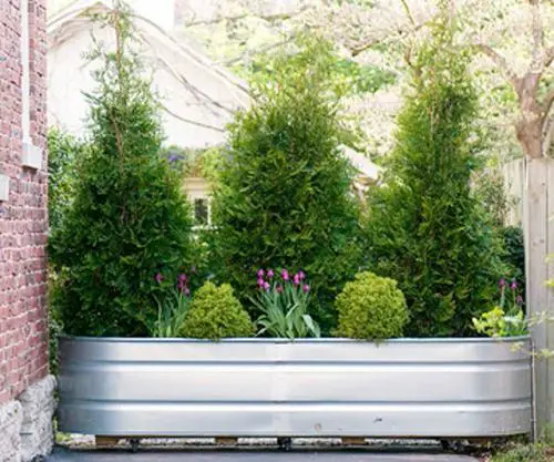 DIY Planter with Privacy Screen Ideas 08