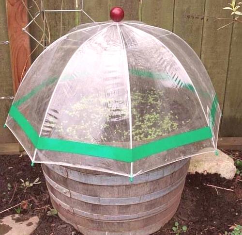 DIY Umbrella Mini-Greenhouse