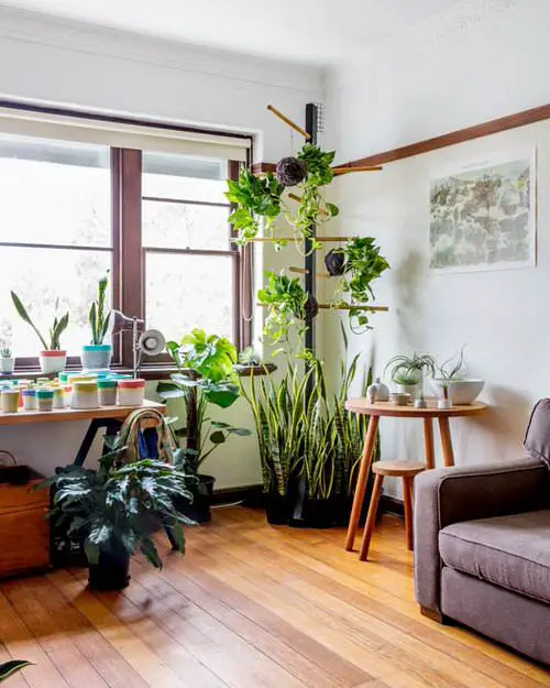 Home decor with plant idea 14