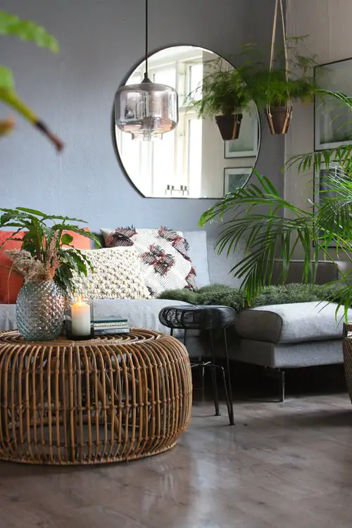 How to Grow Houseplants in Room with Zero Light 4