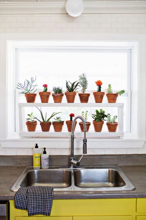 DIY Plant Shelfie Ideas