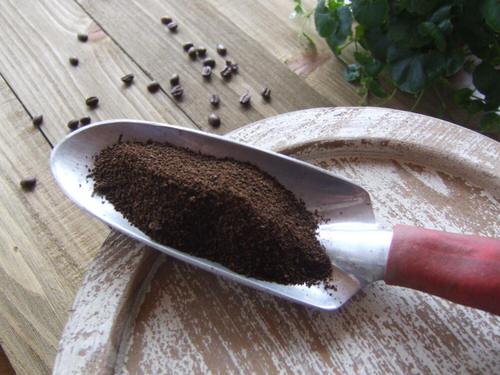Homemade Rose Fertilizer Recipes 2