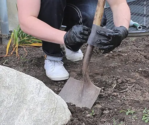 Repairing Garden Tools for garden in spring