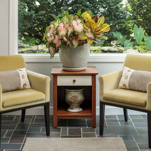 Interior Decor Ideas with Colorful Houseplants 5