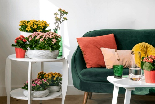 Interior Decor Ideas 16