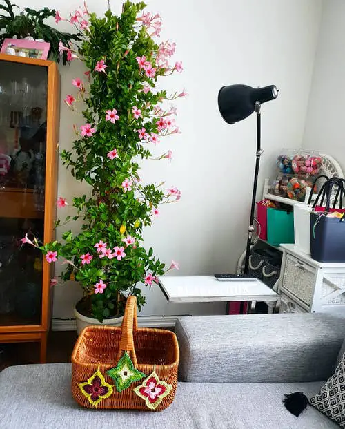 Interior Decor Ideas 18