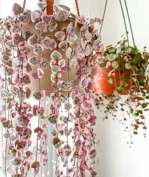 Interior Decor Ideas 20