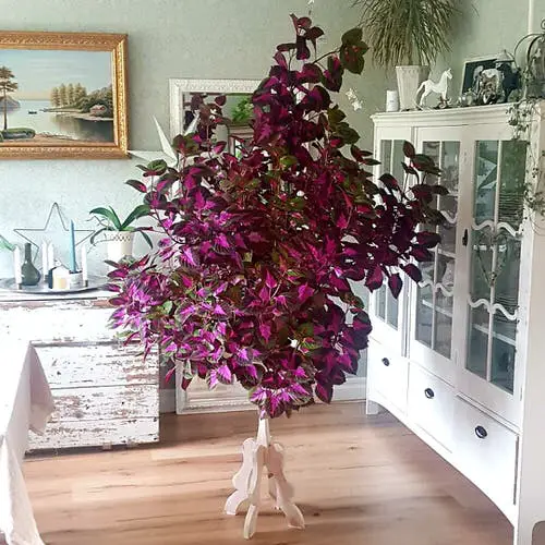 Interior Decor Ideas with Colorful Houseplants 13