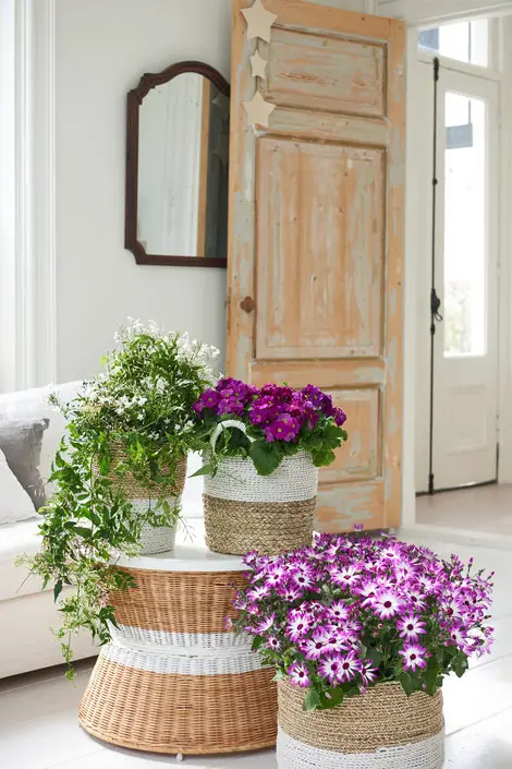 Interior Decor Ideas 10
