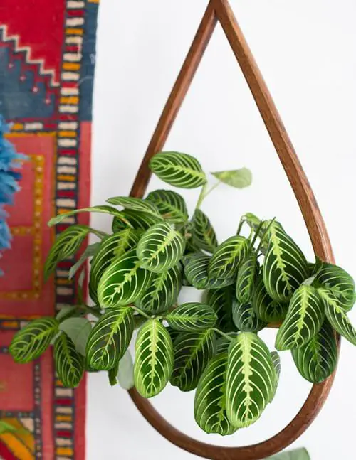 Interior Decor Ideas 30