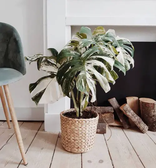 Interior Decor Ideas31
