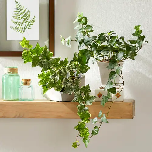 Interior Decor Ideas 32