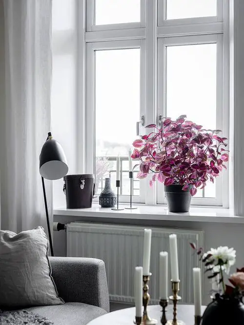 Interior Decor Ideas 42