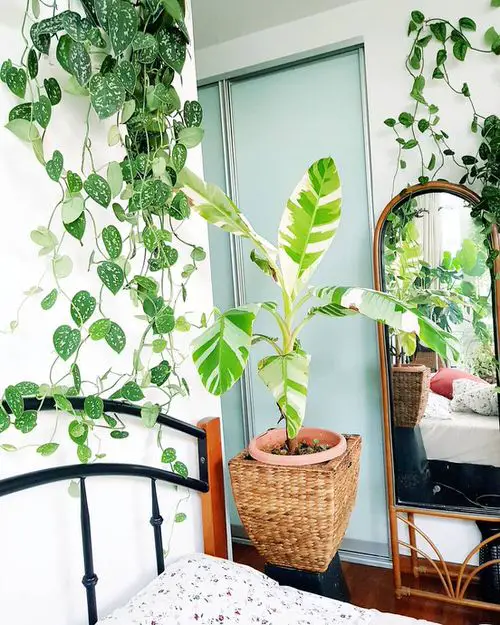 Interior Decor Ideas 04