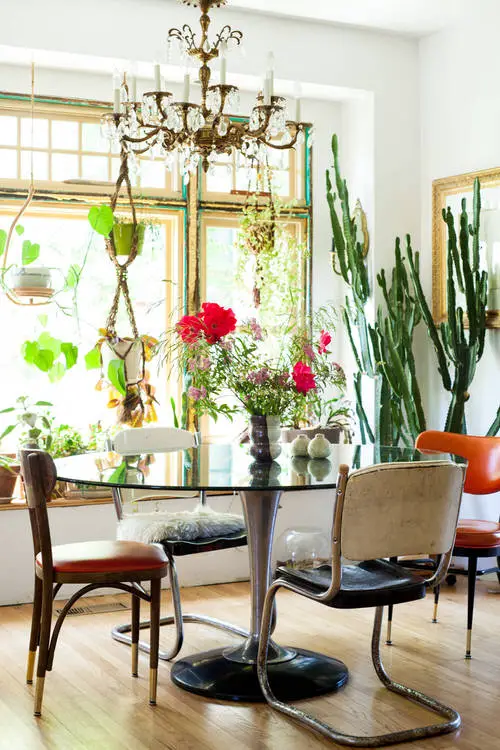 Interior Decor Ideas with Colorful Houseplants 3