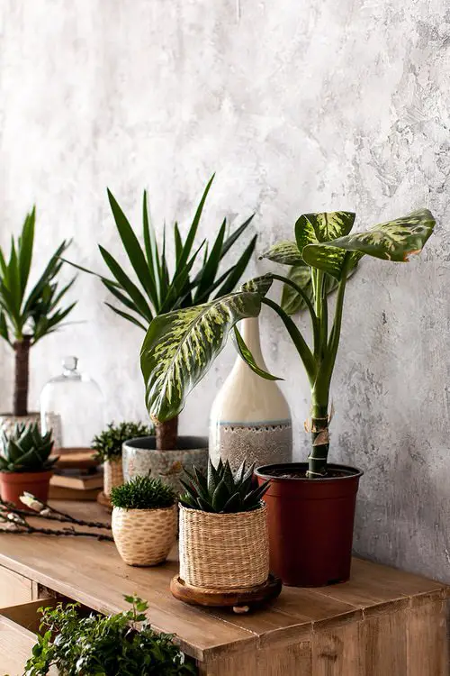 Interior Decor Ideas 2
