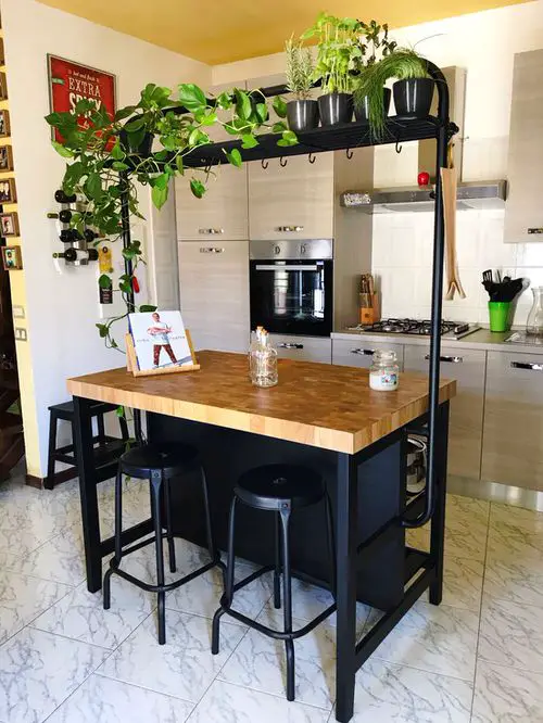 Kitchen Garden Ideas 16