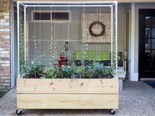 Mobile Container Garden