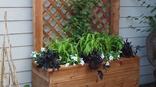 Criss-Cross Trellis Planter