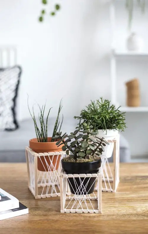 DIY Plant Shelfie 10