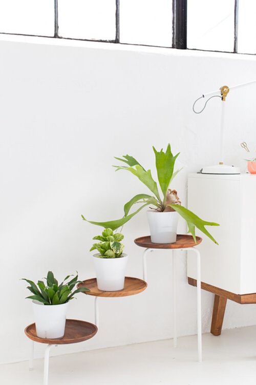 DIY Plant Shelfie Ideas 7
