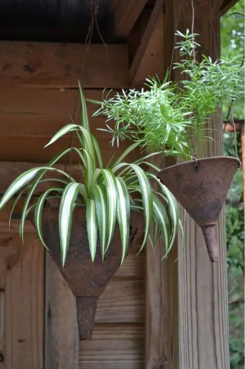 Unique DIY Planters 12