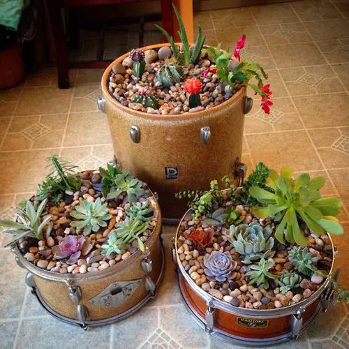 Most Ridiculous Planter Ideas on the Internet 17