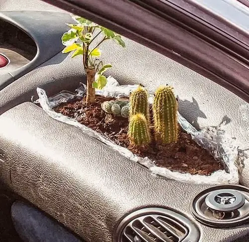 Unique DIY Planters 36