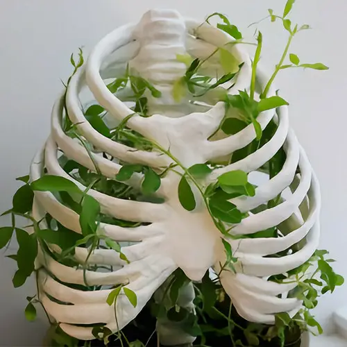 Most Ridiculous Planter Ideas on the Internet 45