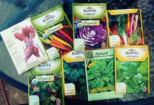 order seeeds for Garden in Spring