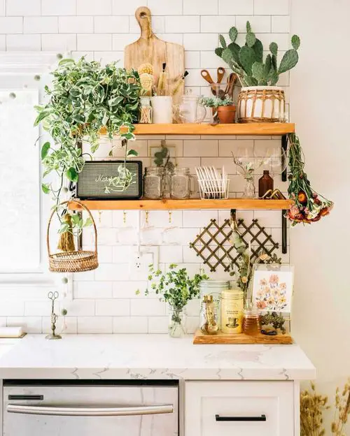 Kitchen Garden Ideas