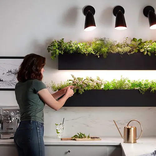 Kitchen Garden Ideas 22
