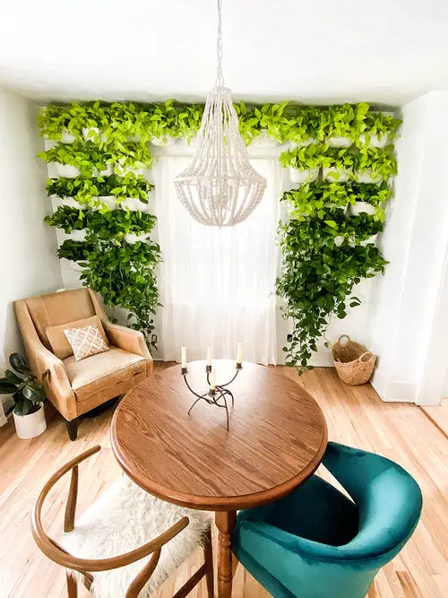 How to Decorate with Pothos 2