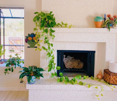 How to Decorate with Pothos 8