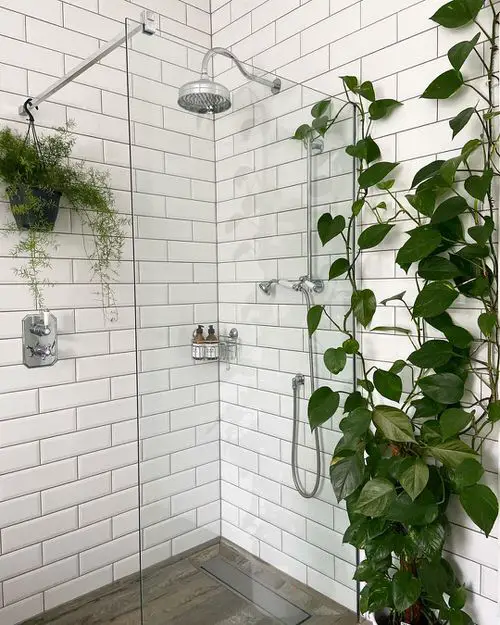 Pothos Wall Decor Ideas 8