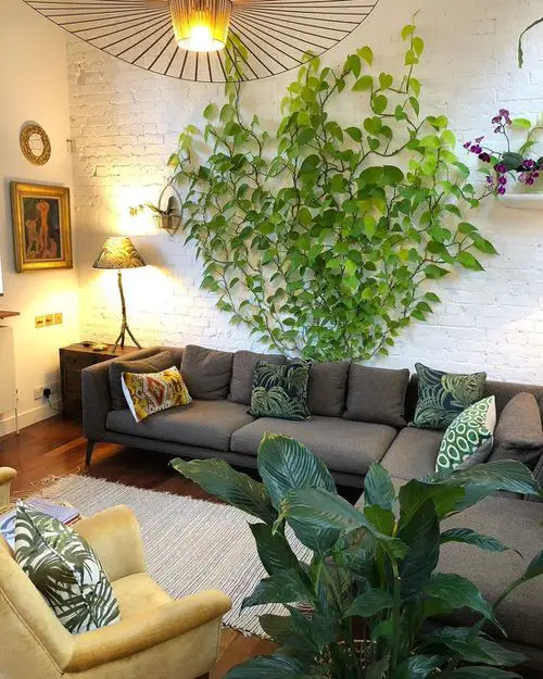 Pothos Wall Decor Ideas 13