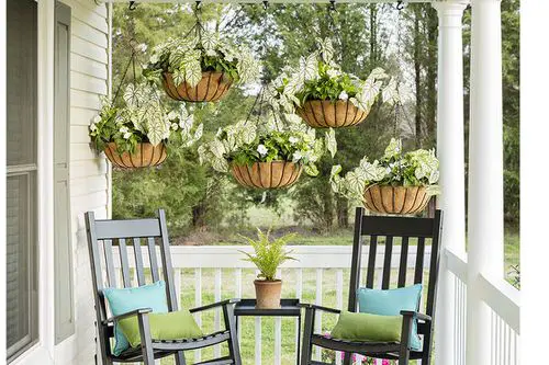 Privacy Screen Using Hanging Plants