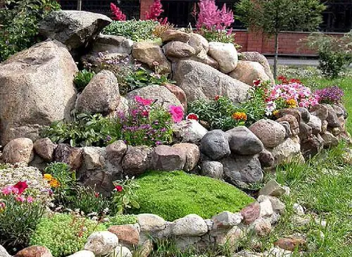 Mini Rock Garden with Flowering Plants