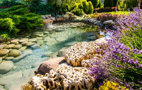 rock and Flower Garden with a Mini Pond
