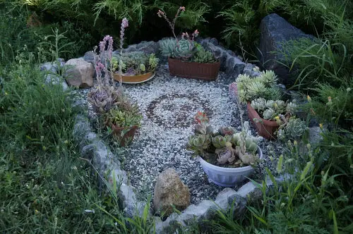 Mini Zen Rock Garden in the Corner