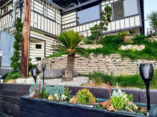 Rock Wall with a Place to Grow Succulent
