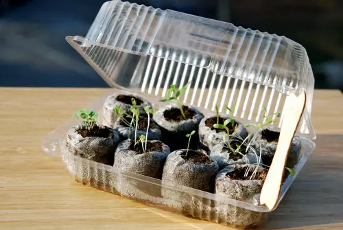 Greenhouse From Recycled Items