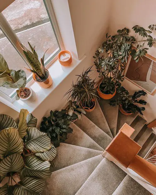 Staircase Wall Decor Ideas 22
