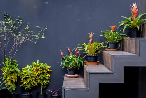 Home decor with plant idea 24